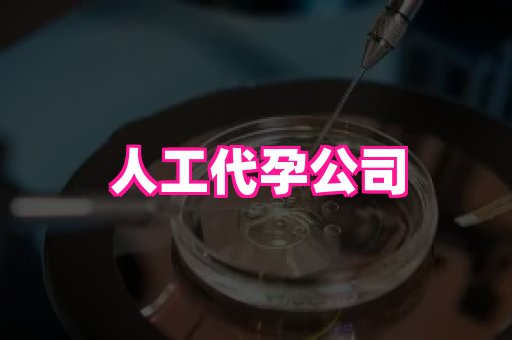 安徽助孕网 3